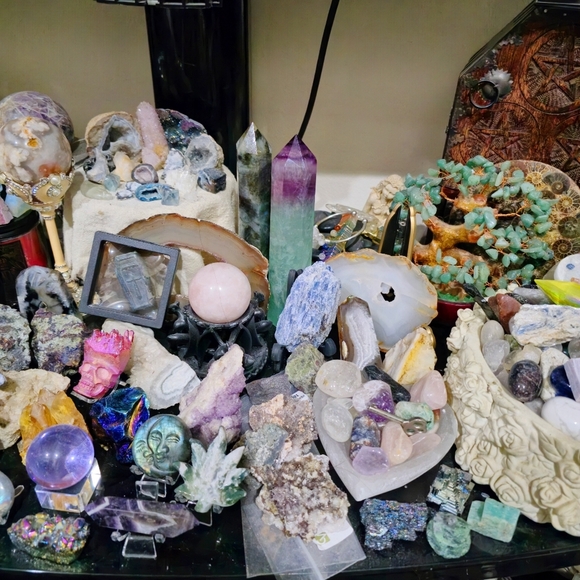 Meet Luna - Picture 10 of 16